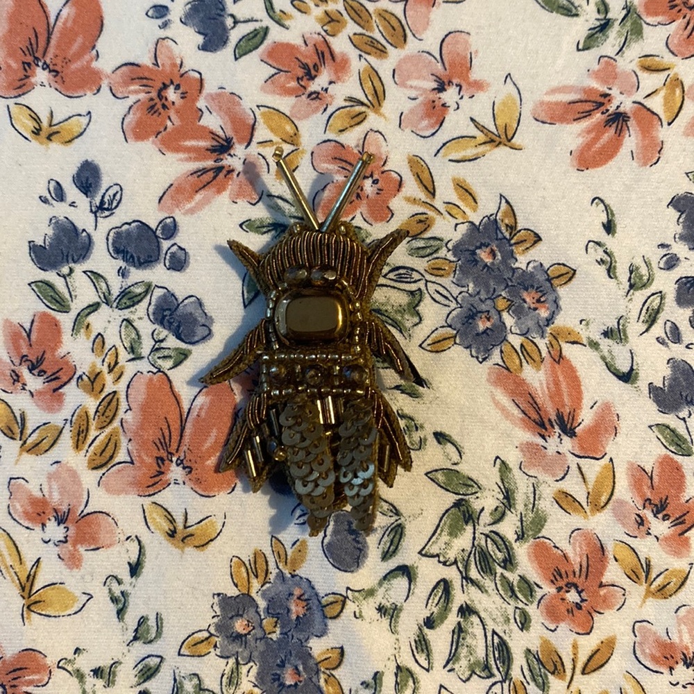 Little Bug Pin